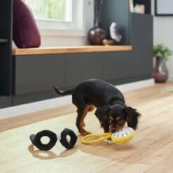 Frisco Magic Pocket Watch & Glasses Plush Squeaky Dog Toy, 2 Count 5 Frisco Magic Pocket Watch & Glasses Plush Squeaky Dog Toy, 2 Count -Frisco 265590 PT3. AC SS1800 V1620938935