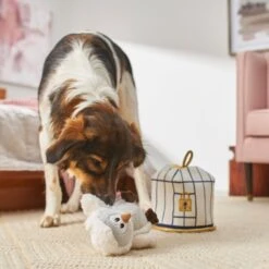 Frisco Magic Owl & Cage 2-in-1 Plush Squeaky Dog Toy 7 Frisco Magic Owl & Cage 2-in-1 Plush Squeaky Dog Toy -Frisco 265592 PT3. AC SS1800 V1620938916