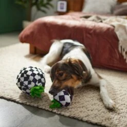 Frisco Halloween Fancy Pumpkin 2-in-1 Plush Squeaky Dog Toy 9 Frisco Halloween Fancy Pumpkin 2-in-1 Plush Squeaky Dog Toy -Frisco 270359 PT3. AC SS1800 V1624817665