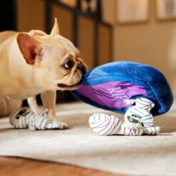 Frisco Halloween Mummy & Coffin Hide & Seek Puzzle Plush Squeaky Dog Toy 9 Frisco Halloween Mummy & Coffin Hide & Seek Puzzle Plush Squeaky Dog Toy -Frisco 270365 PT3. AC SS1800 V1624817620
