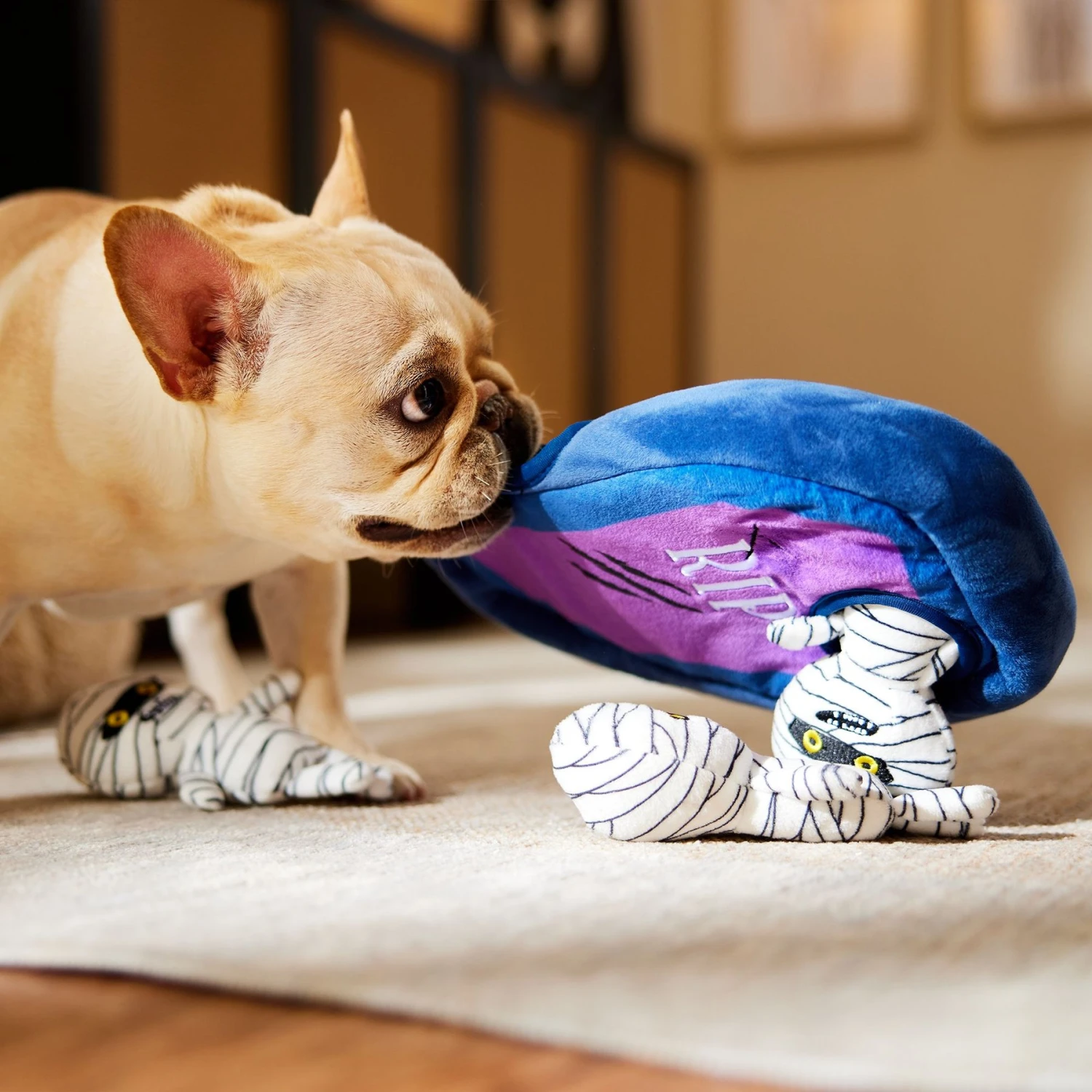 Frisco Halloween Mummy & Coffin Hide & Seek Puzzle Plush Squeaky Dog Toy 4 Frisco Halloween Mummy & Coffin Hide & Seek Puzzle Plush Squeaky Dog Toy - Image 4