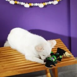 Frisco Halloween Good Witch, Bad Witch Reversible Plush Squeaky Dog Toy 9 Frisco Halloween Good Witch, Bad Witch Reversible Plush Squeaky Dog Toy -Frisco 270429 PT3. AC SS1800 V1624817643