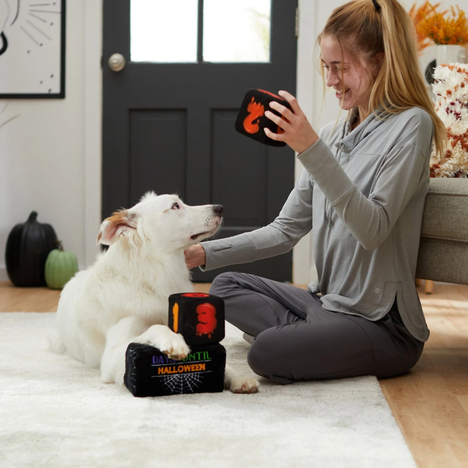 Frisco Halloween 30 Days Of Halloween Countdown Blocks Plush Squeaky Dog Toy 3 Frisco Halloween 30 Days Of Halloween Countdown Blocks Plush Squeaky Dog Toy - Image 3