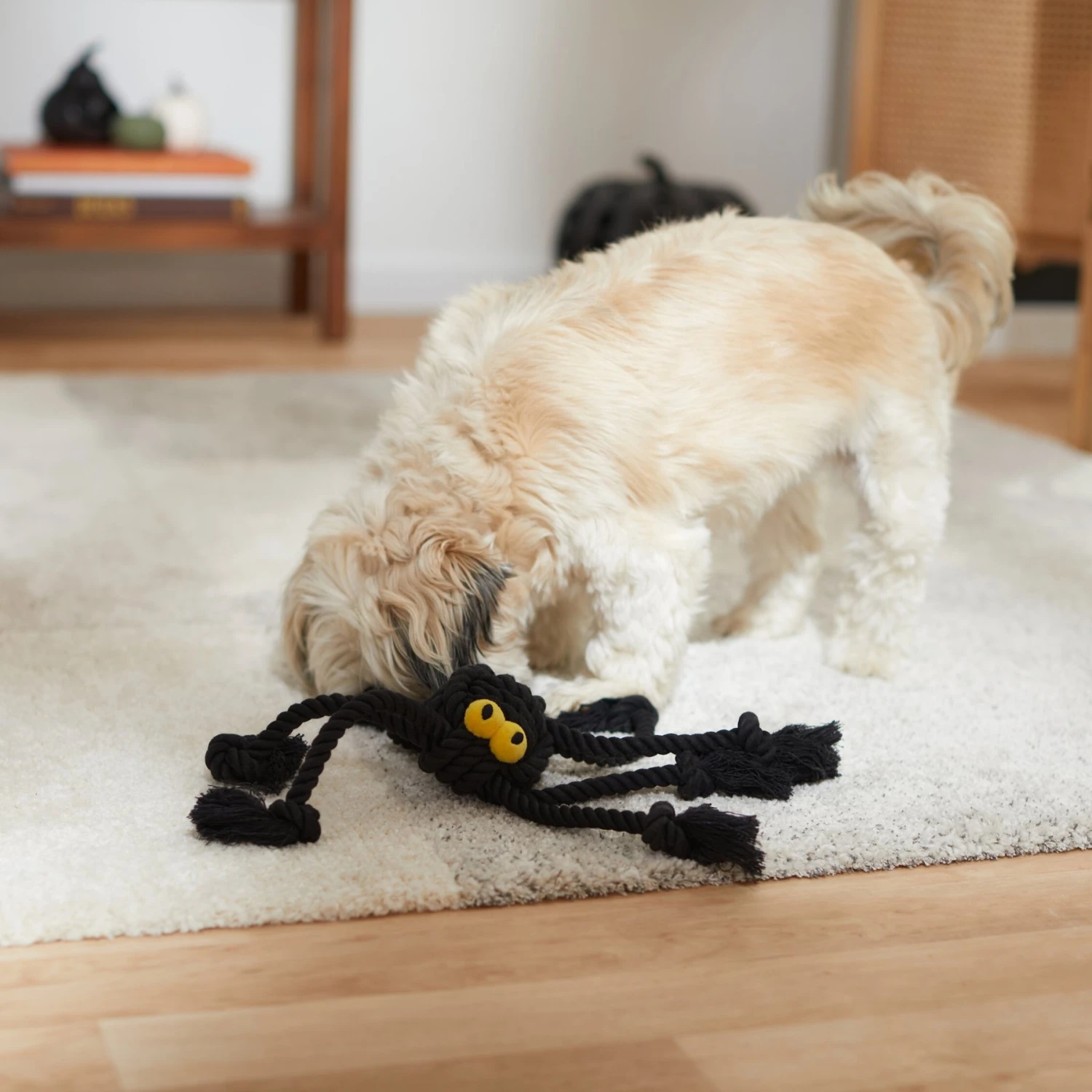 Frisco Halloween Spider Rope Dog Toy 3 Frisco Halloween Spider Rope Dog Toy - Image 3