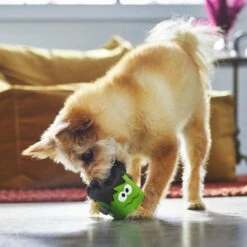 Frisco Halloween Frankenstein Latex Squeaky Dog Toy 6 Frisco Halloween Frankenstein Latex Squeaky Dog Toy -Frisco 270516 PT3. AC SS1800 V1689878412