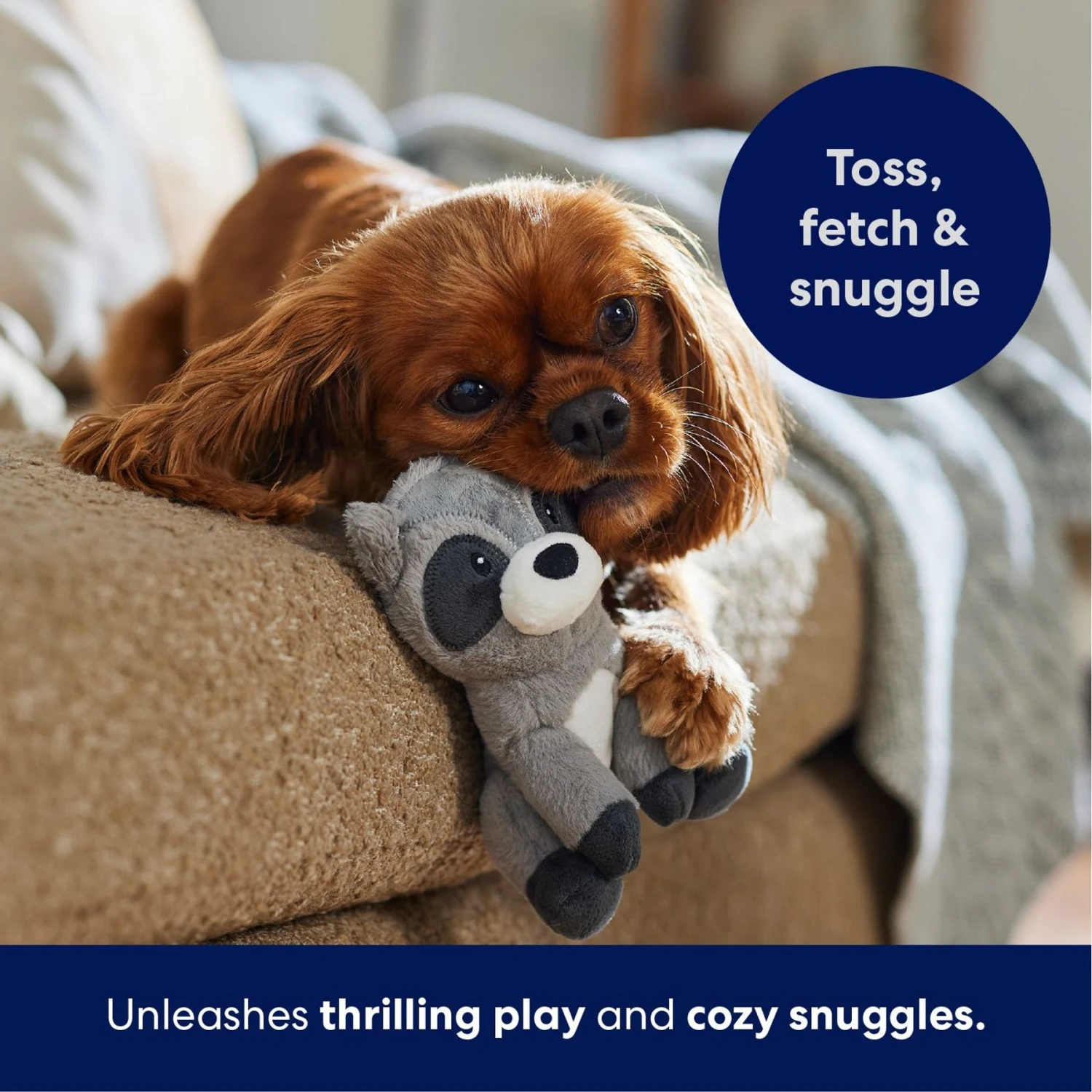 Frisco Camping Raccoon Plush Squeaky Dog Toy 5 Frisco Camping Raccoon Plush Squeaky Dog Toy - Image 5