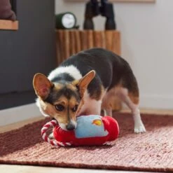 Frisco Camping Lantern Plush With Rope Squeaky Dog Toy 5 Frisco Camping Lantern Plush With Rope Squeaky Dog Toy -Frisco 271013 PT3. AC SS1800 V1625160766