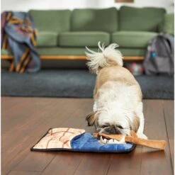 Frisco Camping Smores & Sleeping Bag Flat Plush Squeaky Dog Toy, 2 Count 5 Frisco Camping Smores & Sleeping Bag Flat Plush Squeaky Dog Toy, 2 Count -Frisco 271018 PT3. AC SS1800 V1625009010