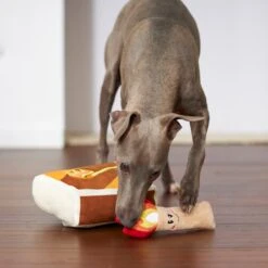 Frisco Camping Match Box 2-in-1 Plush Squeaky Dog Toy -Frisco 271029 PT3. AC SS1800 V1625008996