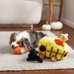 Frisco Fall Hay Wagon Hide & Seek Puzzle Plush Squeaky Dog Toy 7 Frisco Fall Hay Wagon Hide & Seek Puzzle Plush Squeaky Dog Toy -Frisco 285631 PT3. AC SS1800 V1629724940