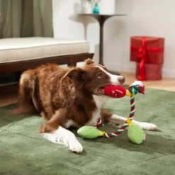 Frisco Holiday Lights Plush With Rope Squeaky Dog Toy 7 Frisco Holiday Lights Plush With Rope Squeaky Dog Toy -Frisco 287109 PT3. AC SS1800 V1632775707