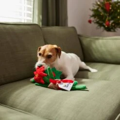 Frisco Flower Bouquet Plush Squeaky Dog Toy 7 Frisco Flower Bouquet Plush Squeaky Dog Toy -Frisco 287163 PT3. AC SS1800 V1632776821