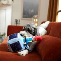 Frisco Nutcracker-in-a-Box Plush Squeaky Dog Toy 7 Frisco Nutcracker-in-a-Box Plush Squeaky Dog Toy -Frisco 287173 PT3. AC SS1800 V1632773316
