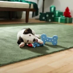 Frisco Blue Bundle Latex Squeaky Puppy Toy, 2 Count 7 Frisco Blue Bundle Latex Squeaky Puppy Toy, 2 Count -Frisco 287185 PT3. AC SS1800 V1632775643