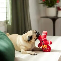 Frisco Holiday Naughty Or Nice Gingerbread Man Reversible Plush Squeaky Dog Toy 9 Frisco Holiday Naughty Or Nice Gingerbread Man Reversible Plush Squeaky Dog Toy -Frisco 287217 PT3. AC SS1800 V1632775304