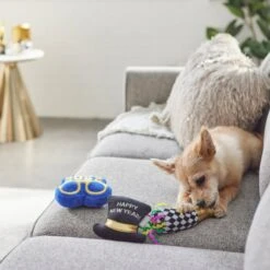Frisco New Year's Eve Party Essentials Plush Squeaky Dog Toy 5 Frisco New Year's Eve Party Essentials Plush Squeaky Dog Toy -Frisco 288484 PT3. AC SS1800 V1638289955