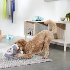 Frisco Scale Plush Squeaky Dog Toy 5 Frisco Scale Plush Squeaky Dog Toy -Frisco 288911 PT3. AC SS1800 V1638289585