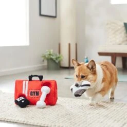 Frisco Gym Bag Hide & Seek Puzzle Plush Squeaky Dog Toy 5 Frisco Gym Bag Hide & Seek Puzzle Plush Squeaky Dog Toy -Frisco 288913 PT3. AC SS1800 V1638289728