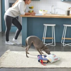 Frisco Cookbooks Plush Squeaky Dog Toy, 2 Count 5 Frisco Cookbooks Plush Squeaky Dog Toy, 2 Count -Frisco 288937 PT3. AC SS1800 V1638287852