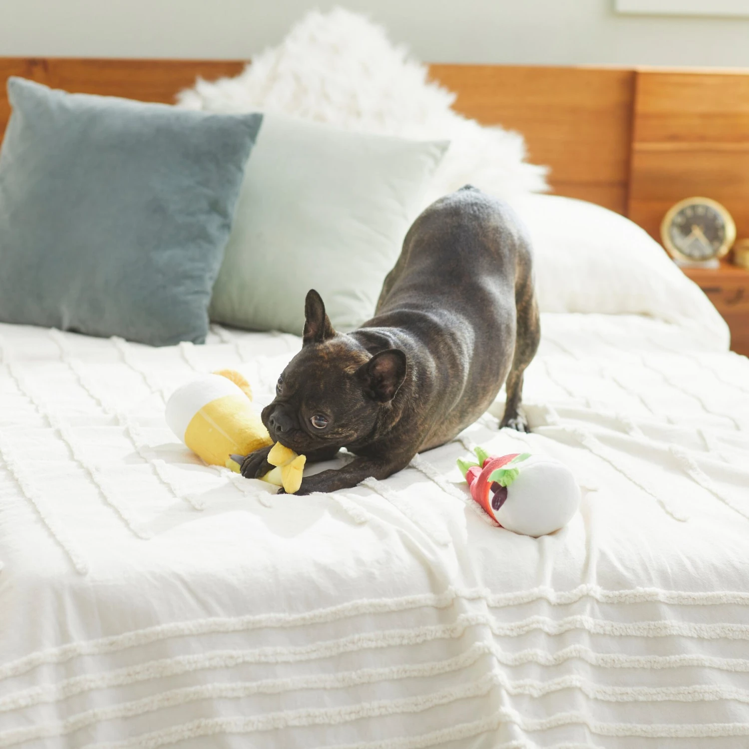 Frisco Brunch Bottomless Mimosas Plush Squeaky Dog Toy, 2 Count 3 Frisco Brunch Bottomless Mimosas Plush Squeaky Dog Toy, 2 Count - Image 3