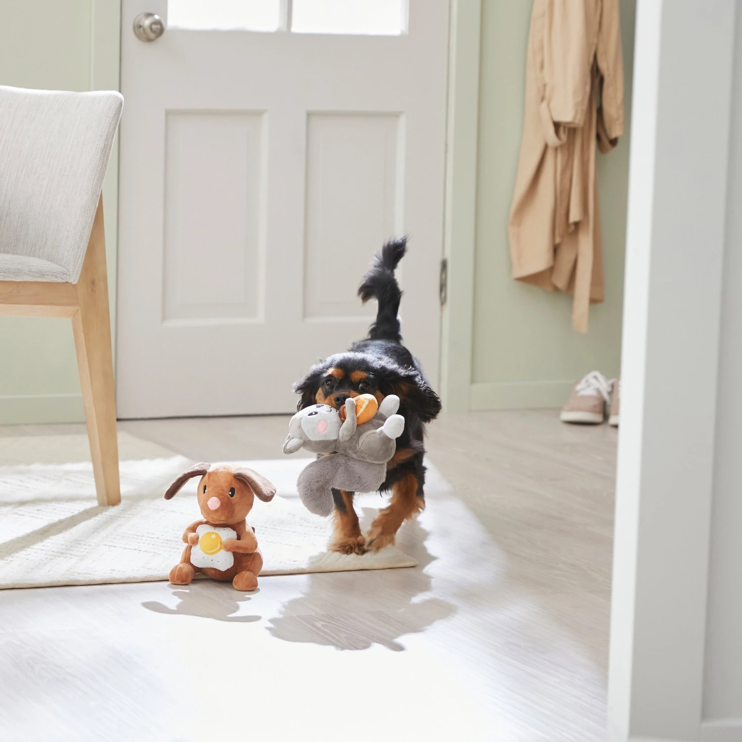 Frisco Brunch Flying Breakfast Critters Plush Squeaky Dog Toy 3 Frisco Brunch Flying Breakfast Critters Plush Squeaky Dog Toy - Image 3