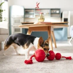 Frisco Lunar New Year Lantern Plush With Rope Squeaky Dog Toy 5 Frisco Lunar New Year Lantern Plush With Rope Squeaky Dog Toy -Frisco 298885 PT3. AC SS1800 V1640269279