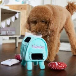 Frisco Valentine Love Letters Hide & Seek Puzzle Plush Squeaky Dog Toy 8 Frisco Valentine Love Letters Hide & Seek Puzzle Plush Squeaky Dog Toy -Frisco 298929 PT3. AC SS1800 V1638987486