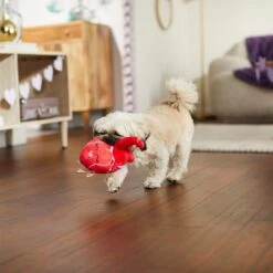 Frisco Valentine Anatomical Heart Plush Squeaky Dog Toy 6 Frisco Valentine Anatomical Heart Plush Squeaky Dog Toy -Frisco 298933 PT3. AC SS1800 V1638987632