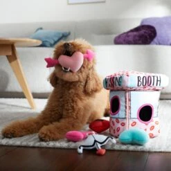 Frisco Valentine Kissing Booth Hide & Seek Puzzle Plush Squeaky Dog Toy 8 Frisco Valentine Kissing Booth Hide & Seek Puzzle Plush Squeaky Dog Toy -Frisco 298943 PT3. AC SS1800 V1638987417