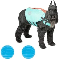 Frisco Active Dog Life Jacket & Frisco Foam Rubber Floating Fetch Ball No Squeak Dog Toy