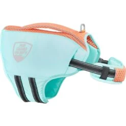 Frisco Active Dog Life Jacket & Frisco Foam Rubber Floating Fetch Ball No Squeak Dog Toy 11 Frisco Active Dog Life Jacket & Frisco Foam Rubber Floating Fetch Ball No Squeak Dog Toy -Frisco 303364 PT2. AC SS1800 V1623163059