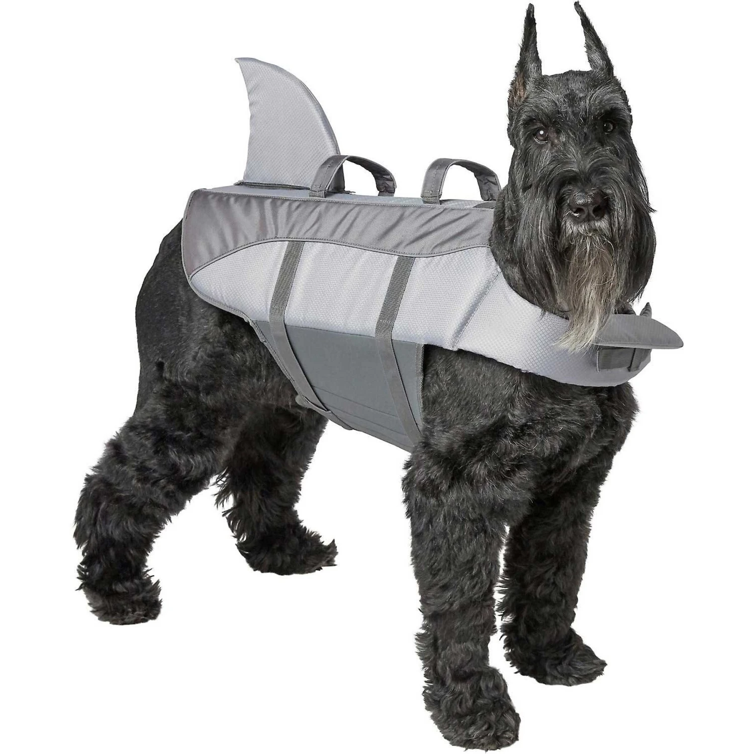 Frisco Shark Dog Life Jacket & Frisco Foam Rubber Floating Fetch Ball No Squeak Dog Toy 2 Frisco Shark Dog Life Jacket & Frisco Foam Rubber Floating Fetch Ball No Squeak Dog Toy - Image 2