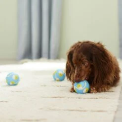 Frisco Easter Fetch Squeaky Tennis Ball Dog Toy, Medium, 3 Count 8 Frisco Easter Fetch Squeaky Tennis Ball Dog Toy, Medium, 3 Count -Frisco 304964 PT4. AC SS1800 V1703184745