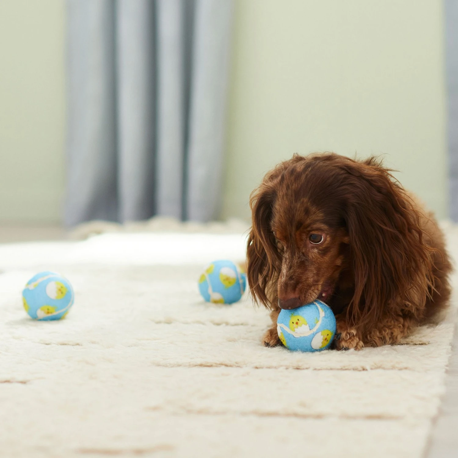 Frisco Easter Fetch Squeaky Tennis Ball Dog Toy, Medium, 3 Count 4 Frisco Easter Fetch Squeaky Tennis Ball Dog Toy, Medium, 3 Count - Image 4