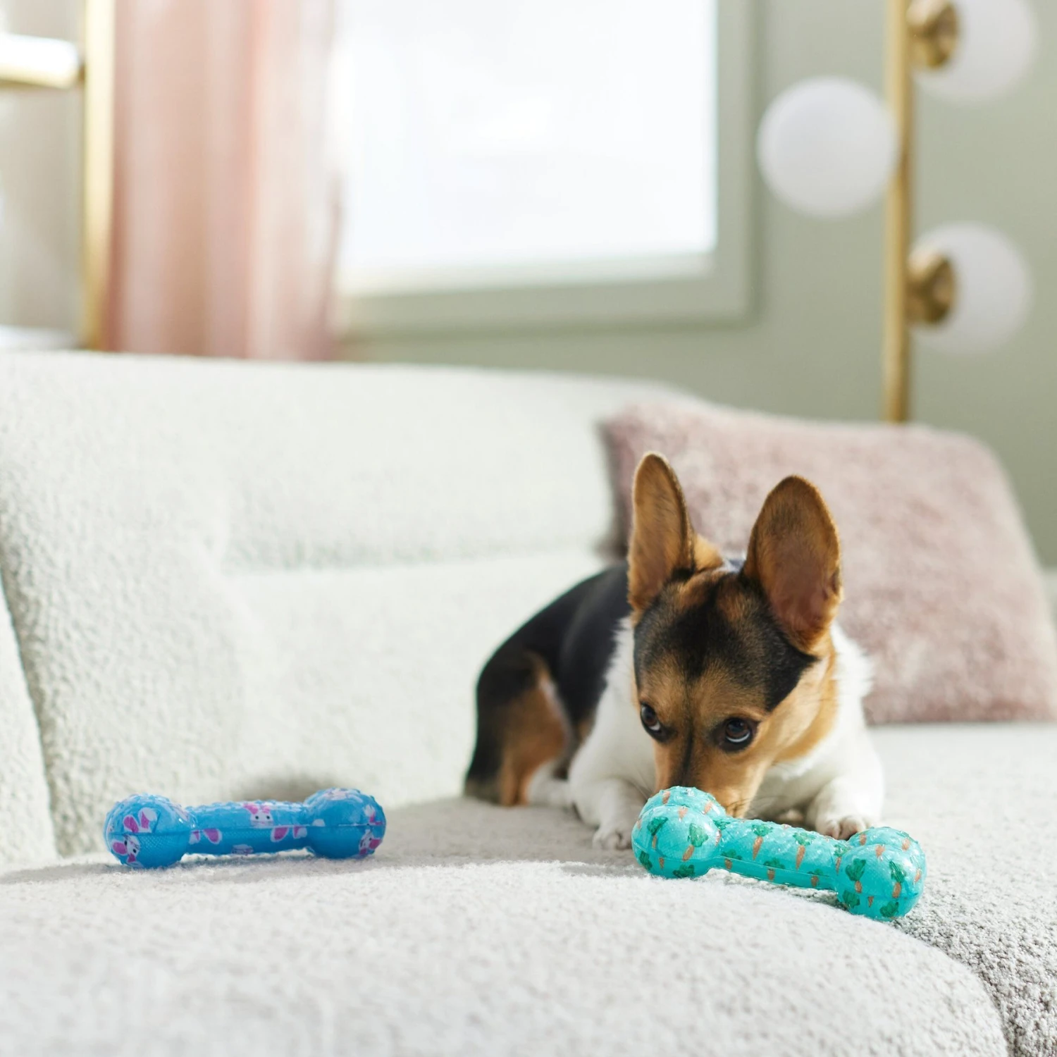 Frisco Easter TPR Bone Squeaky Dog Toy, Medium/Large, 2 Count 4 Frisco Easter TPR Bone Squeaky Dog Toy, Medium/Large, 2 Count - Image 4