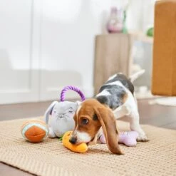 Frisco Easter Puppy Plush Dog Toy 10 Frisco Easter Puppy Plush Dog Toy -Frisco 304968 PT4. AC SS1800 V1702500565