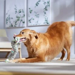 Frisco Easter Bunny Plush With Rope Squeaky Dog Toy 8 Frisco Easter Bunny Plush With Rope Squeaky Dog Toy -Frisco 304974 PT4. AC SS1800 V1702500566