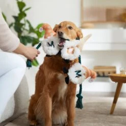 Frisco Mother's Day Gnomes Plush With Rope Squeaky Dog Toy 5 Frisco Mother's Day Gnomes Plush With Rope Squeaky Dog Toy -Frisco 327037 PT3. AC SS1800 V1646948102