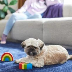 Frisco Pride Rainbow & Heart Latex Squeaky Dog Toy, 2 Count 5 Frisco Pride Rainbow & Heart Latex Squeaky Dog Toy, 2 Count -Frisco 331632 PT3. AC SS1800 V1647355825