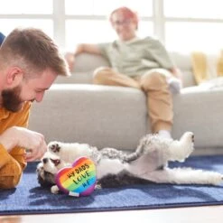 Frisco Pride My Dads Love Me Plush Squeaky Dog Toy 5 Frisco Pride My Dads Love Me Plush Squeaky Dog Toy -Frisco 331648 PT3. AC SS1800 V1647355984