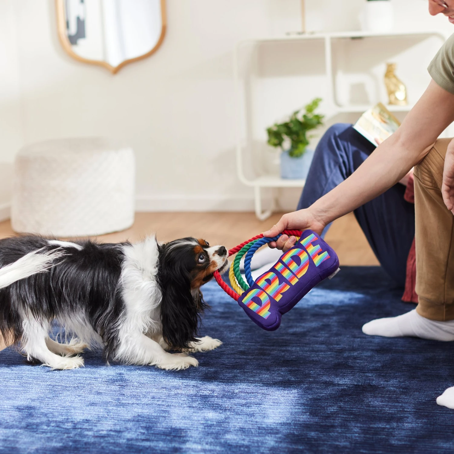 Frisco Pride Rainbow Plush With Rope Squeaky Dog Toy 3 Frisco Pride Rainbow Plush With Rope Squeaky Dog Toy - Image 3