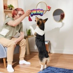 Frisco Pride Plush With Rope Squeaky Dog Toy 5 Frisco Pride Plush With Rope Squeaky Dog Toy -Frisco 331661 PT3. AC SS1800 V1647356002