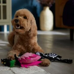 Frisco Halloween Flamingo Plush Squeaky Dog Toy 6 Frisco Halloween Flamingo Plush Squeaky Dog Toy -Frisco 344123 PT3. AC SS1800 V1657657035