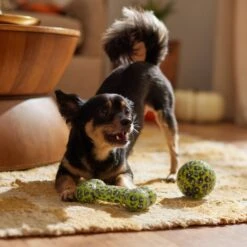 Frisco Halloween Glow In The Dark TPR Squeaky Bone & Ball Dog Toy 9 Frisco Halloween Glow In The Dark TPR Squeaky Bone & Ball Dog Toy -Frisco 344130 PT3. AC SS1800 V1657657042