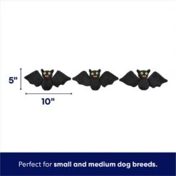 Frisco Halloween Haunted House Hide & Seek Puzzle Plush Squeaky Dog Toy 8 Frisco Halloween Haunted House Hide & Seek Puzzle Plush Squeaky Dog Toy -Frisco 344136 PT2. AC SS1800 V1690911191