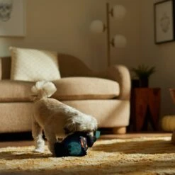 Frisco Halloween Lantern Ballistic Nylon Plush Squeaky Dog Toy 7 Frisco Halloween Lantern Ballistic Nylon Plush Squeaky Dog Toy -Frisco 344138 PT3. AC SS1800 V1657657042