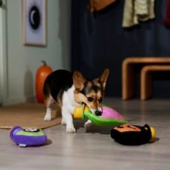 Frisco Halloween Potion Bottles Plush Squeaky Dog Toy 7 Frisco Halloween Potion Bottles Plush Squeaky Dog Toy -Frisco 344144 PT3. AC SS1800 V1657657048