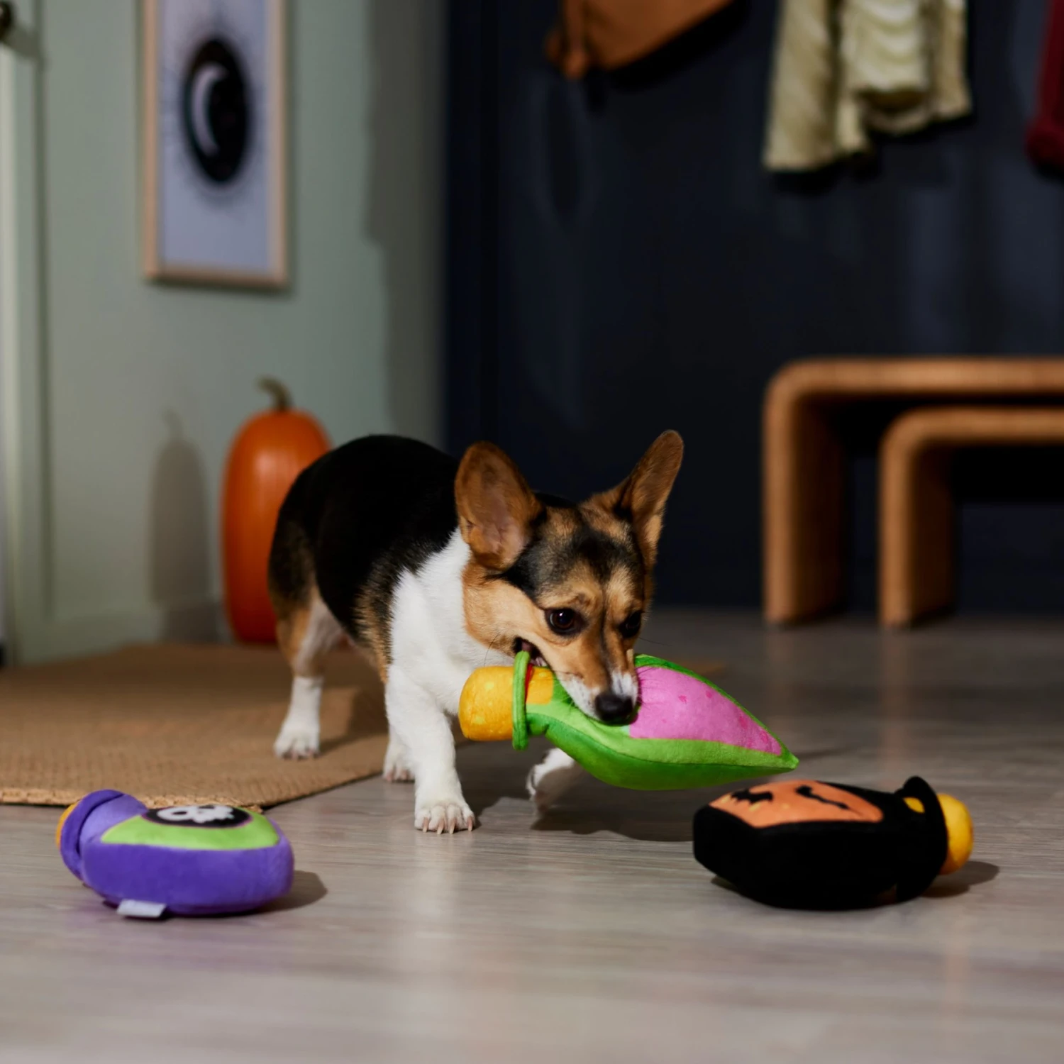 Frisco Halloween Potion Bottles Plush Squeaky Dog Toy 3 Frisco Halloween Potion Bottles Plush Squeaky Dog Toy - Image 3