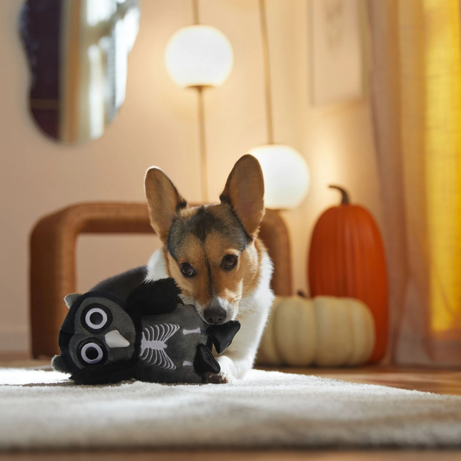 Frisco Halloween Spooky Owl Plush Squeaky Dog Toy 3 Frisco Halloween Spooky Owl Plush Squeaky Dog Toy - Image 3