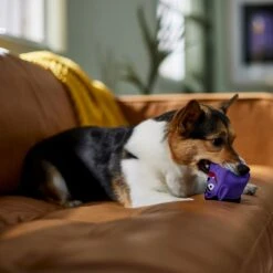 Frisco Halloween Vampire Latex Squeaky Dog Toy 6 Frisco Halloween Vampire Latex Squeaky Dog Toy -Frisco 344166 PT3. AC SS1800 V1657657049